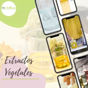 Imagen de portada para Ebook Extractos Vegetales
