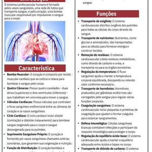 Imagem de capa para o Ebook Resumo sobre o sistema cardiovascular 
