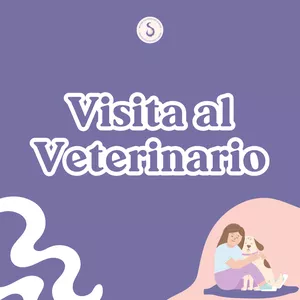 Imagen de portada para Curso online Visita al veterinario