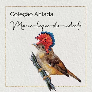 Imagem de capa para o Ebook RISCOS GUIADOS PARA BORDAR - Coleção AHlada - Maria-leque-do-sudeste