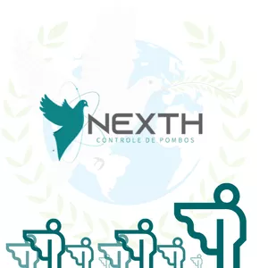 Imagem de capa para o Curso online FRANQUI-FÁCIL NEXTH