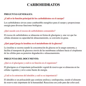 Imagen de portada para Ebook resumen de la semana 5 de biología - carbohidratos 