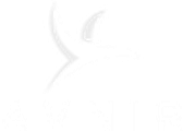 Avnir University logo