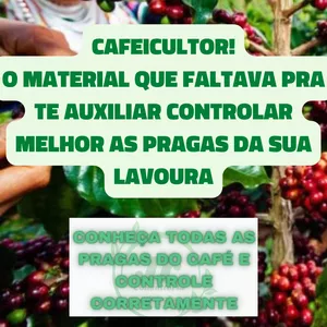 Imagem de capa para o Ebook CONHEÇA TODAS AS PRAGAS DO CAFÉ E CONTROLE CORRETAMENTE