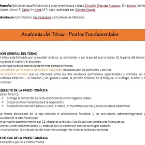 Imagen de portada para Ebook Resumen de la anatomía del TÓRAX