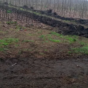 Imagen de portada para Curso online Curso de compostaje 