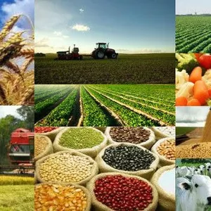 Imagem de capa para o Curso online agropecuária