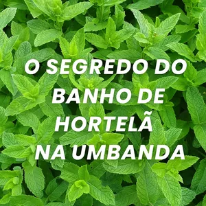 Imagem de capa para o Ebook Banho de Hortelã na Umbanda