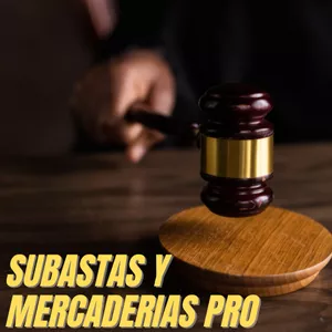 Imagen de portada para Curso online Subastas y Mercaderias PRO