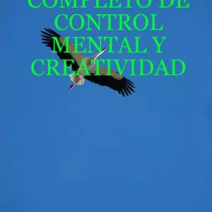 Imagen de portada para Ebook 01. Curso completo de control mental y creatividad. 