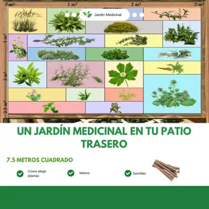 Imagen de portada para Ebook Un Jardín medicinal en tu patio trasero 
