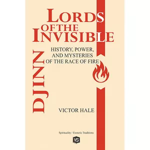 Cover image for Ebook Djinn — Lords of the Invisible - History, Power, and Mysteries of the Race of Fire 