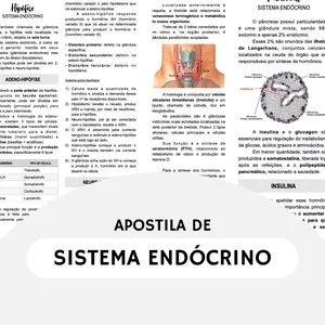 Imagem de capa para o Curso online APOSTILA DE SISTEMA ENDÓCRINO - RESUMOS MEDICINA