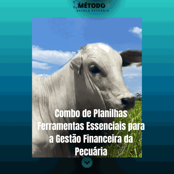 🔎 Curso “Combo de Planilhas - Ferramentas Poderosas do Casal da Pecuária”: Vale a Pena? Descubra AGORA! Curso.blog.br
