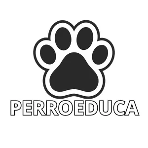 Imagen de portada para Ebook Perroeduca: Última Oportunidad