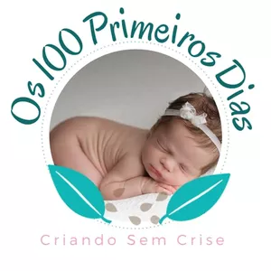 Imagem de capa para o Curso online Os 100 primeiros dias 