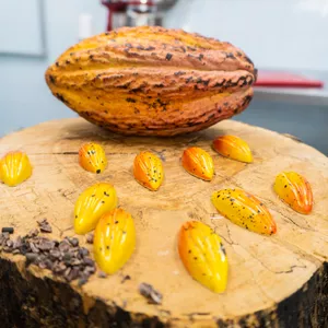 Imagem do curso Curso Online de Chocolateria e Desenvoltura de Cores