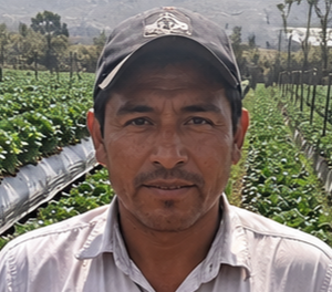 Luis H. - Lima, Perú
