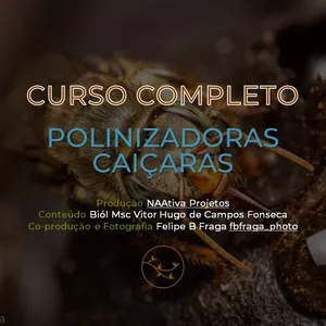 Imagem de capa para o Curso online POLINIZADORAS CAIÇARAS - Manejo in situ de abelhas nativas sem ferrão.