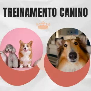 Imagem de capa para o Ebook Treinamento Canino