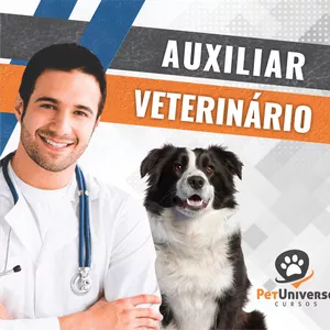 Imagem do curso CURSO AUXILIAR VETERINÁRIO 