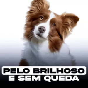 Imagem de capa para o Ebook Pelo brilhoso e sem queda