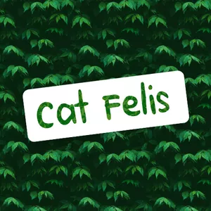Imagem de capa para o Curso online Cat Felis