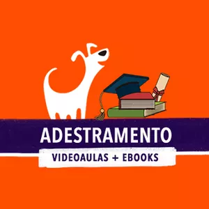 Imagem do curso Curso online de Adestramento