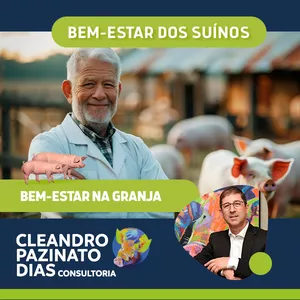 Imagem de capa para o Curso online Como aplicar a Instrução Normativa Nº113