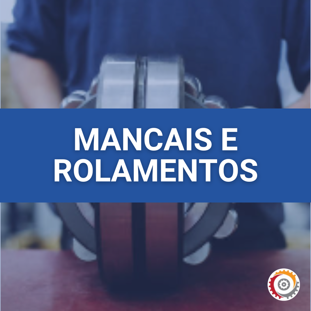 Expert em Mancais e Rolamentos: Montagem, especificação e inspeção.