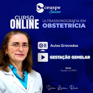 Imagem de capa para o Curso online US NA GESTAÇÃO GEMELAR