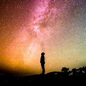 Imagen de portada para Curso online MD - Sharanagati