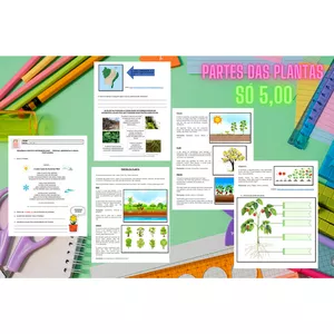 Imagem de capa para o Ebook SDI- PARTE DAS PLANTAS 