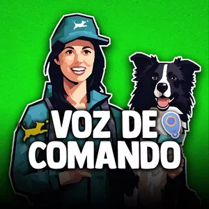Imagem de capa para o Curso online VOZ DE COMANDO