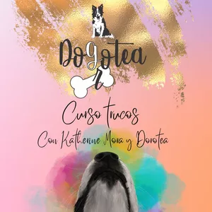 Imagen de portada para Curso online CURSO TRUCOS CON DOROTEA