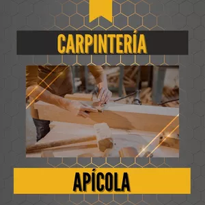 Imagen de portada para Curso online CARPINTERÍA APÍCOLA