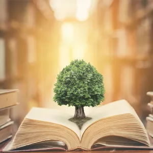 Imagem de capa para o Ebook Inteligência Financeira: Sabedoria Bíblica para a Prosperidade