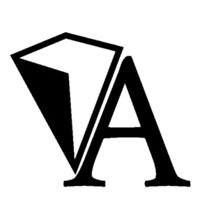 Imagen de portada para Curso online VISION ACADEMY