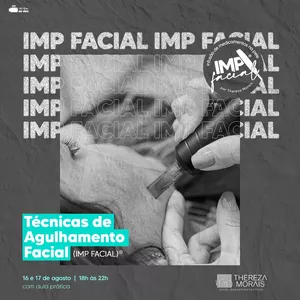 Imagem de capa para o Curso online Técnicas de Agulhamento com IMP Facial® 6