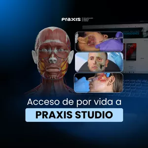 Imagen de portada para Curso online Acceso de por vida a Praxis Studio
