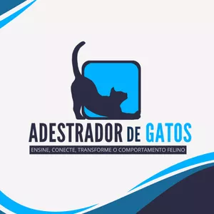 Imagem de capa para o Curso online Curso Adestrador de Gatos