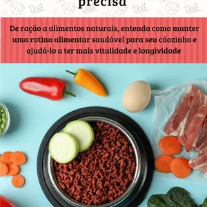 Imagem de Alimentação para cães: o que seu pet realmente precisa criado por Patas Educadas  na hotmart