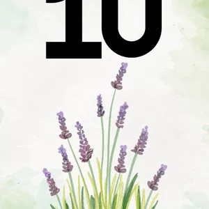 Imagem de capa para o Ebook Painel Sequência Numérica Bilíngue