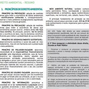 Imagem de capa para o Ebook DIREITO AMBIENTAL