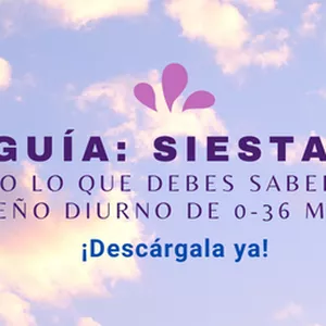 Imagen de portada para Ebook SIESTAS