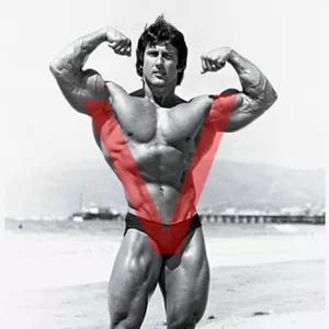 Imagem de capa para o Ebook O Segredo para o Shape em V