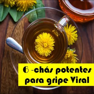 Imagem de capa para o Ebook 6 - Chás Potentes Para Gripe Viral 