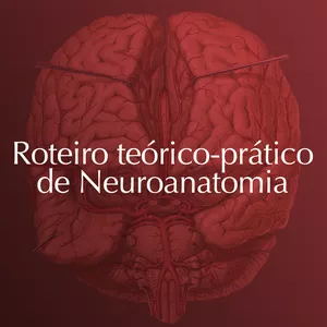 Imagem de capa para o Ebook NeuroanatoRoteiro