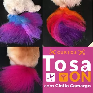 Imagem de capa para o Curso online Coloração de Caudas