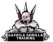 Gavrila's Gorilla Training